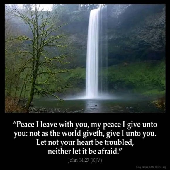 MEET YOUR POSHER - Picture 3 of 16